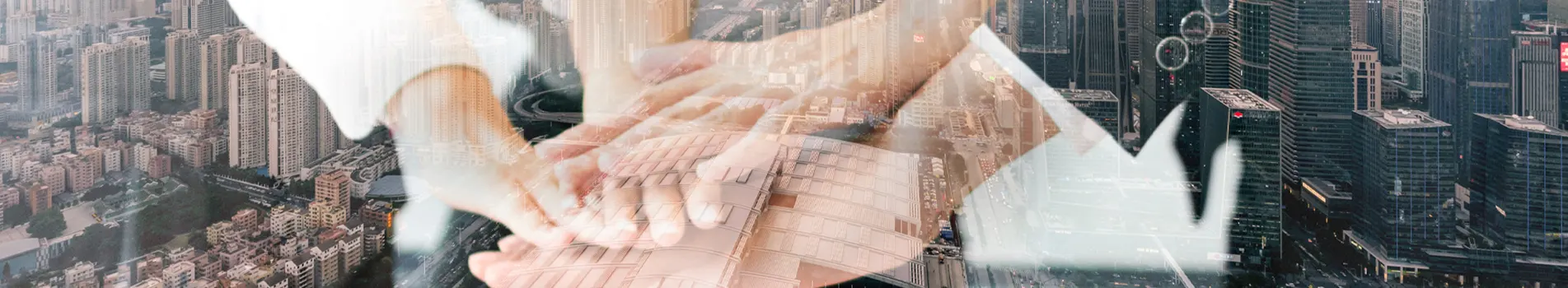 سياسة الخصوصية